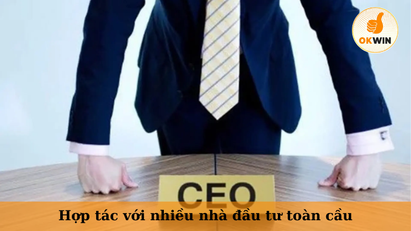Hợp tác với nhiều nhà đầu tư toàn cầu